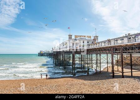 Molo di Brighton Palace con Seagulls, Brighton, East Sussex, Inghilterra, Regno Unito Foto Stock