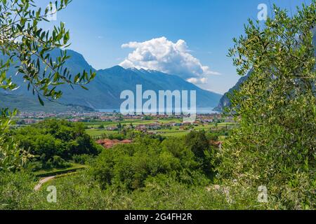 Vista panoramica su Riva del Garda e Torbole sulla sponda nord del Lago di Garda, Trentino, Italia Foto Stock