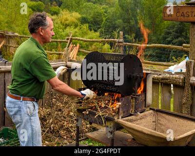 Joaquim Solé cucina le castagne al Viladrau Chestnut Handling Centre (Osona, Catalogna, Spagna) ESP: Joaquim Solé, en el Centro de la Castaña Foto Stock