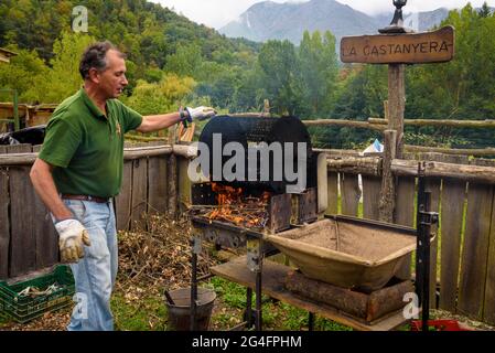 Joaquim Solé cucina le castagne al Viladrau Chestnut Handling Centre (Osona, Catalogna, Spagna) ESP: Joaquim Solé, en el Centro de la Castaña Foto Stock