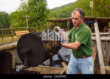 Joaquim Solé cucina le castagne al Viladrau Chestnut Handling Centre (Osona, Catalogna, Spagna) ESP: Joaquim Solé, en el Centro de la Castaña Foto Stock