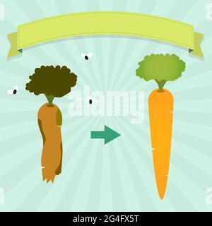 Nuova carota e carota marcio con mosche. Nastro vuoto per inserire il testo. Illustrazione Vettoriale