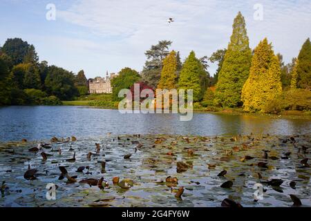 Guardando attraverso il lago superiore verso Sheffield Park House (di proprietà privata) a Sheffield Park and Gardens in East Sussex, Inghilterra, ottobre 2020. Foto Stock