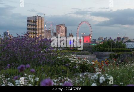 Il giardino pensile Hachette si affaccia sul Tamigi a Londra, Inghilterra Foto Stock