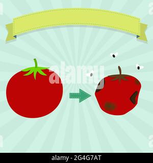 Marcio di pomodoro con mosche e pomodoro nuovo. Nastro vuoto per inserire il testo. Illustrazione Vettoriale