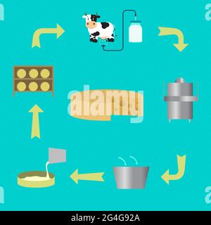 Schema che mostra il processo di produzione del formaggio. Dalla mungitura della mucca al processo di pastorizzazione e stagionatura del formaggio. Illustrazione Vettoriale