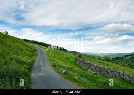 La ripida strada recintata di Satron Moor fuori da Swaledale, Yorkshire Dales National Park, paesaggio britannico Foto Stock