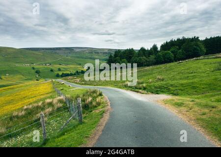 La ripida strada recintata di Satron Moor fuori da Swaledale, Yorkshire Dales National Park, paesaggio britannico Foto Stock