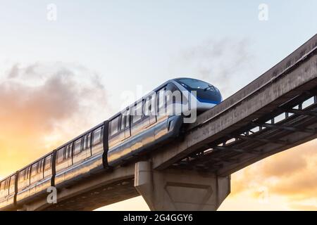 Treno monorotaia a São Paulo, Brasile Foto Stock