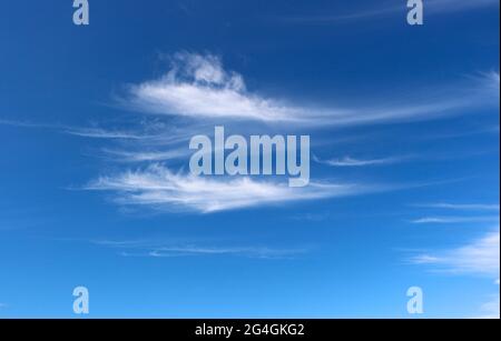 Alte nuvole di cirrus bianco contro un cielo blu profondo Foto Stock
