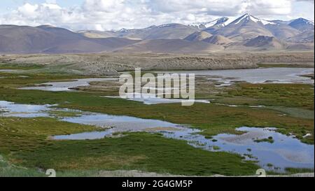 TSO Kar Wetlands, Ladakh, India Foto Stock