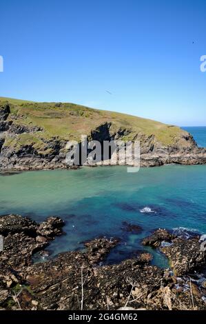 Vista della costa di Port Isaac nella Cornovaglia Nord Foto Stock