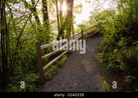 Shoreline Trail, Port Moody, Greater Vancouver, British Columbia, Canada Foto Stock