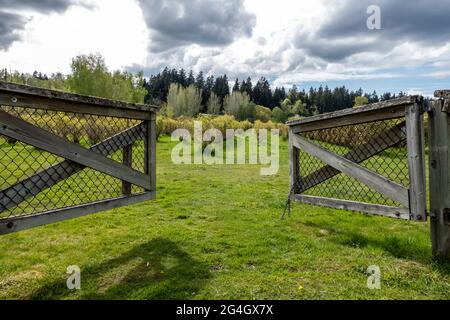 Bella vista di una recinzione aperta in legno che conduce in una fattoria di mirtilli in una giornata nuvolosa e soleggiata Foto Stock