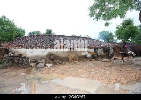 TRIBÙ KOL. Tradizionale Mud House. Bhanpur Villaggio di Huzur Tehsil a Rewa Dist, Madhya Pradesh, India Foto Stock