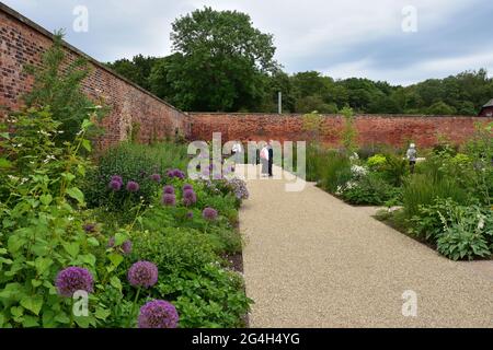 Fiori, RHS Bridgewater Gardens, Salford, Manchester Foto Stock