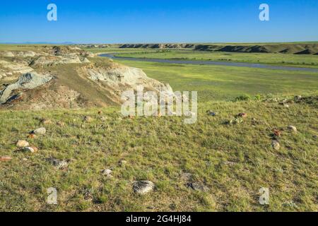 anello di tipi sopra la valle del fiume latte vicino havre, montana Foto Stock