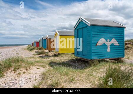 Colorate capanne sulla spiaggia di Findhorn a Moray, Morayshire, Scozia, Regno Unito Foto Stock