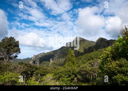 Colonne rocciose vicino a Windy Canyon, Great Barrier Island, Hauraki Gulf, Nuova Zelanda Foto Stock