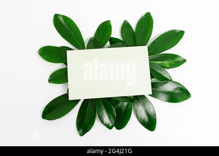 Tema natura Presentazione idee disegni, visualizzazione di materiali rinnovabili, creazione di prodotti sostenibili, materiali organici, progettazione giardinaggio pianificazione Foto Stock