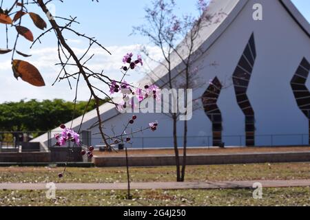 igreja Foto Stock