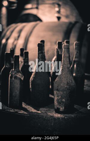 Bottiglie di vino polverose in una cantina di Montepulciano, Toscana Foto Stock