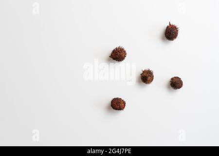 qualche goccia di frutta di rambutan sul tavolo colorato isolato, semplice stile minimalista, vista frome sopra, piatto posa Foto Stock