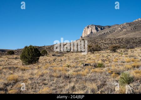 El Capitan sorge sopra il piano della Desert Valley nel Parco Nazionale delle Montagne di Guadalupe Foto Stock