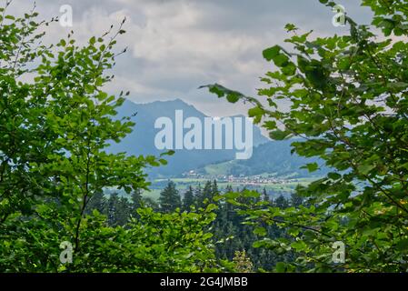 Bellissimo scatto di montagne visto attraverso rami di alberi nella regione di Allgau in Germania Foto Stock