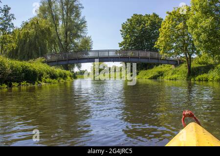 Fiume Niers, regione del basso Reno, Germania Foto Stock