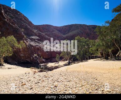 Letto di insenatura di sabbia fiancheggiata da fiume Red Gums (Eucalyptus camaldulensis), Ormiston Gorge, Tjoritja / West MacDonnell National Park, territorio del Nord Foto Stock