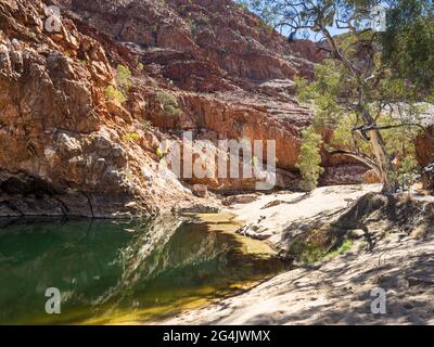 Ormiston Gorge piscina, Tjoritja / West MacDonnell National Park, territorio del Nord Foto Stock