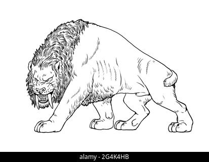 Sabre dente gatto sulla caccia. Illustrazione degli animali. Attacco gatto con denti Sabre. Libro da colorare. Foto Stock