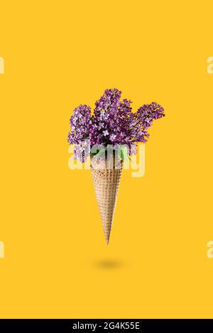 Gelato di fiori lilla in cono waffle su sfondo giallo dall'alto, splendida disposizione floreale. Fiori viola che cadono o volano in movimento. M Foto Stock