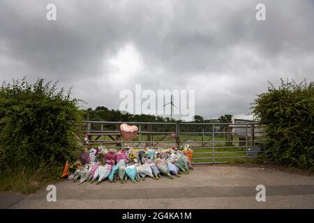 L'omicidio di Gracie Spinks. I fiori lasciarono sulla scena dell'assassinio di Gracie Spinks, vicino a Duckmanton, Derbyshire. Foto Stock