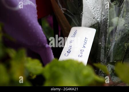 L'omicidio di Gracie Spinks. Fiori lasciati nel Giardino della rimebranza di Gracie Spinks città natale di Old Whittington, Derbyshire. Foto Stock