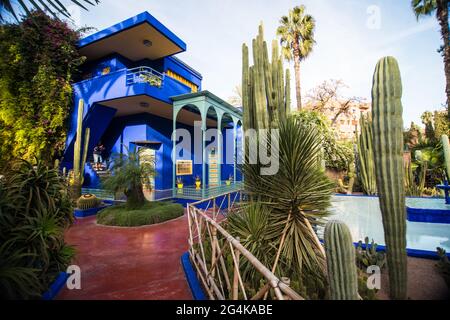 Giardini Majorelle, Marrakech, Marocco, Africa del Nord, Africa Foto Stock