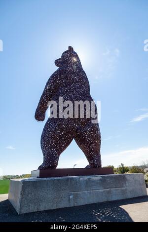 L'opera d'arte dell'orso Dunbar dello scultore scozzese Andy Scott è un tributo al naturalista e conservazionista John Muir Foto Stock