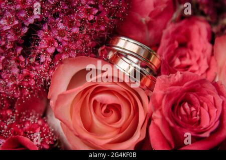 Anelli di nozze d'oro giacenti su una rosa rossa brillante. Anelli da sposa firmati. Foto Stock