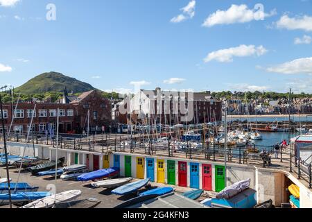 Porto di Berwick Nord in un giorno estivo 2021 Foto Stock