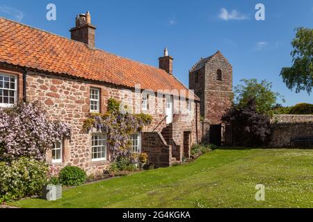 La glicine fiorisce su un cottage a Stenton, East Lothian, Scozia Foto Stock