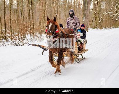 Persone che viaggiano nella slitta trainata da cavalli nella foresta di Kozlowiecki, Lublin Voivodato, Polonia Foto Stock