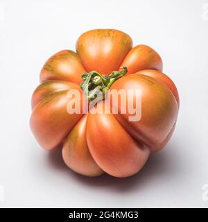 Pomodoro Costoluto Pachino su fondo bianco, Sicilia, Italia, Europa Foto Stock