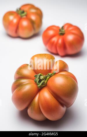 Pomodori Costoluto Pachino su fondo bianco, Sicilia, Italia, Europa Foto Stock