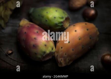 Pera di prickly su legno, Sicilia, Italia, Europa Foto Stock