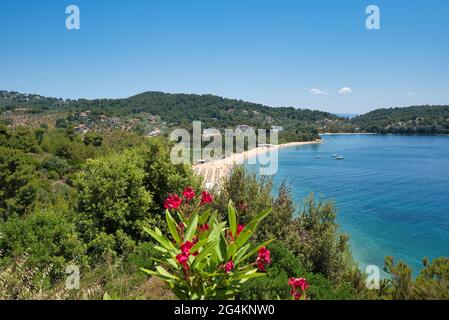 Isola di Skiathos, Grecia, la spiaggia di Agia Paraskevi (Platanias) Foto Stock