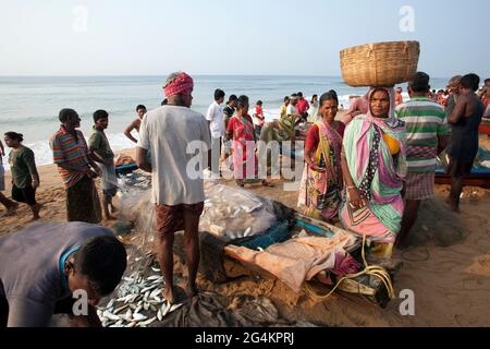 Pescatori che vendono il loro pescato nella spiaggia di Puri, Odhisa, una popolare spiaggia di mare turistico in India. Le donne locali li comprano e vendono nel mercato locale. Foto Stock