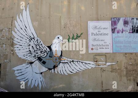 Famosi graffiti del rinomato artista Banksy intitolato 'Armored dove' a Betlemme, Palestina, Cisgiordania Foto Stock