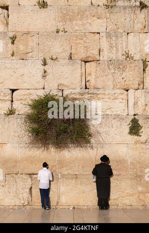 Persone che pregano al Muro Occidentale (chiamato anche Kotel o Wailing Wall) nel quartiere ebraico della Città Vecchia di Gerusalemme, Israele. Foto Stock