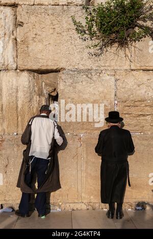 Persone che pregano al Muro Occidentale (chiamato anche Kotel o Wailing Wall) nel quartiere ebraico della Città Vecchia di Gerusalemme, Israele. Foto Stock